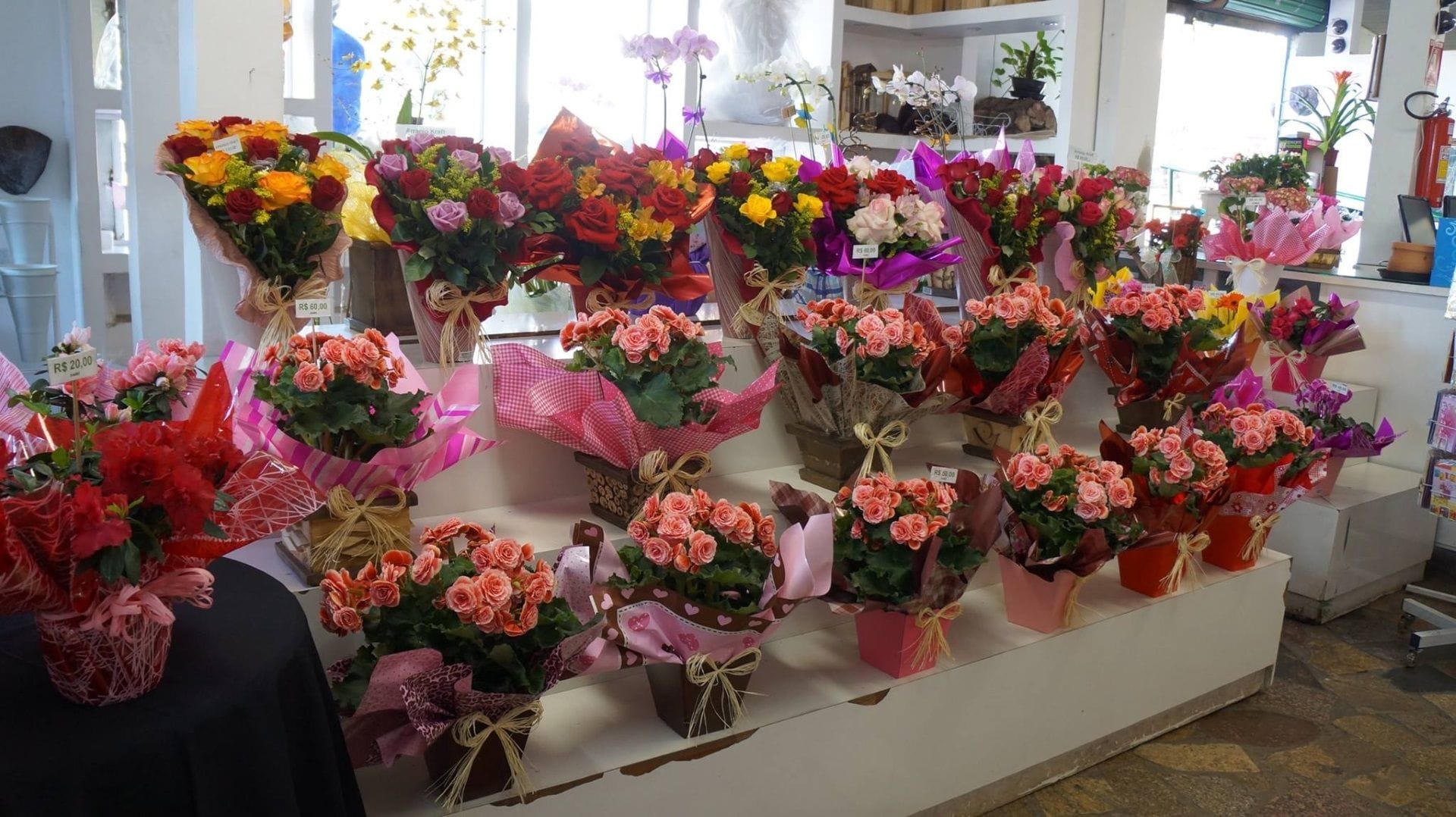 Sistema para floricultura - Software completo para gestão de floriculturas