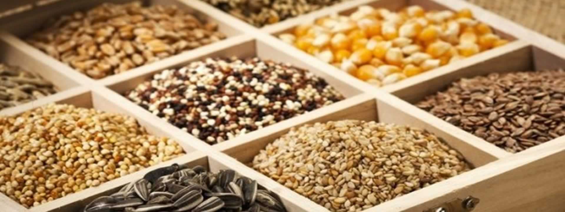 imagem programa para loja de produtos naturais